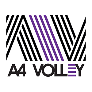A4 Volleyball
